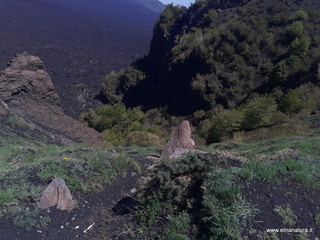 qua Rocca15-05-2022 11-20-41
